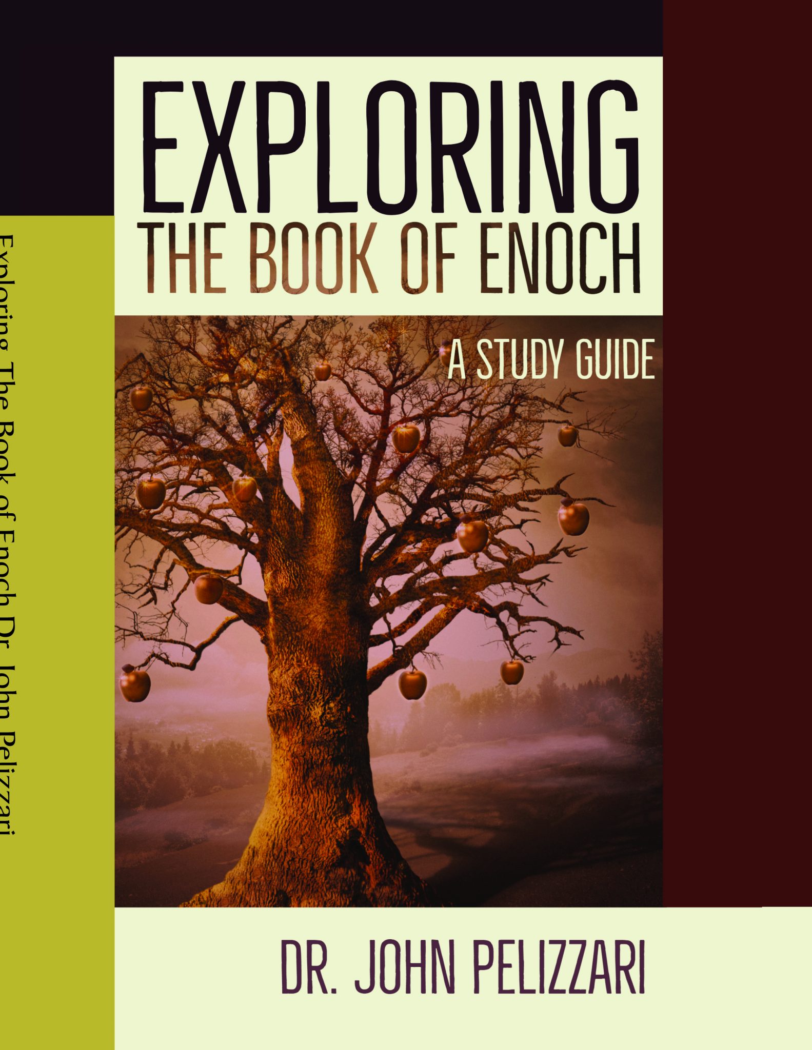 Exploring The Book Of Enoch Cover 8X10 1583x2048 